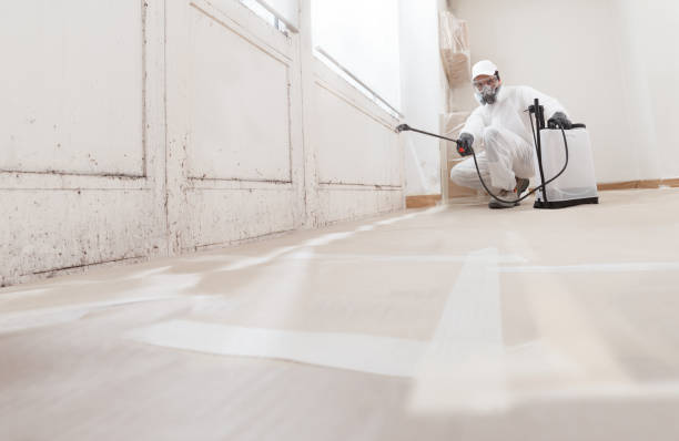 24/7 Emergency Mold Cleanup experts in Mineral Point, PA